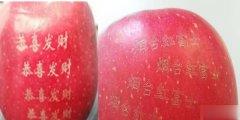 水果上使用的激光打標(biāo)機